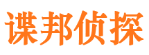 清河市侦探公司